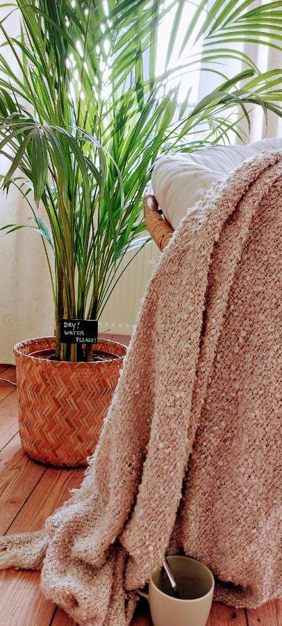 Boho Chic - Your Bohemian Home In แอนต์เวิร์ป ภายนอก รูปภาพ